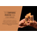 BANNER 4 1535x1020px -1-
